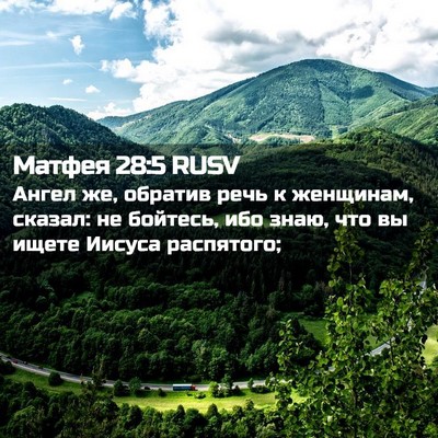 Picture 02 - Матфея 28:5 RUSV - Ангел же, обратив речь к - Bible Verse Picture
