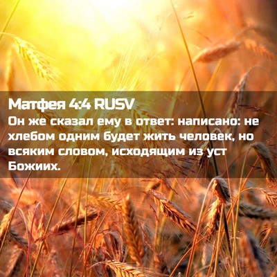 Picture 02 - Матфея 4:4 RUSV - Он же сказал ему в ответ: - Bible Verse Picture