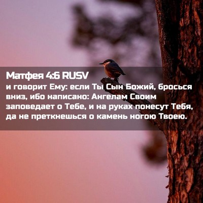 Picture 02 - Матфея 4:6 RUSV - и говорит Ему: если Ты Сын - Bible Verse Picture