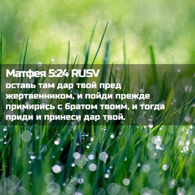 Picture 02 - Матфея 5:24 RUSV - оставь там дар твой пред - Bible Verse Picture