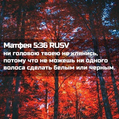 Picture 02 - Матфея 5:36 RUSV - ни головою твоею не - Bible Verse Picture