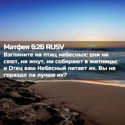 Picture 02 - Матфея 6:26 RUSV - Взгляните на птиц - Bible Verse Picture