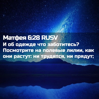 Picture 02 - Матфея 6:28 RUSV - И об одежде что заботитесь? - Bible Verse Picture
