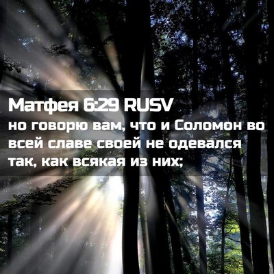 Picture 02 - Матфея 6:29 RUSV - но говорю вам, что и - Bible Verse Picture