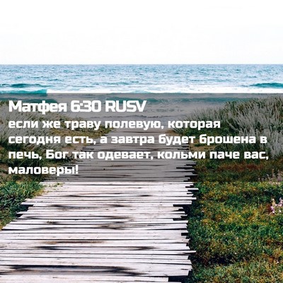 Picture 02 - Матфея 6:30 RUSV - если же траву полевую, - Bible Verse Picture