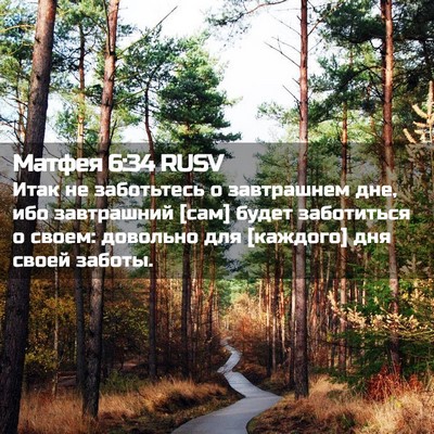Picture 02 - Матфея 6:34 RUSV - Итак не заботьтесь о - Bible Verse Picture