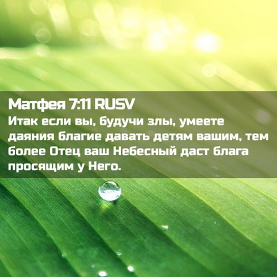 Picture 02 - Матфея 7:11 RUSV - Итак если вы, будучи злы, - Bible Verse Picture
