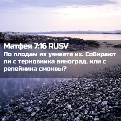 Picture 02 - Матфея 7:16 RUSV - По плодам их узнаете их. - Bible Verse Picture