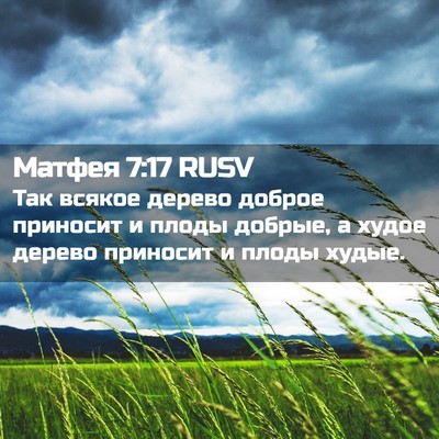 Picture 02 - Матфея 7:17 RUSV - Так всякое дерево доброе - Bible Verse Picture