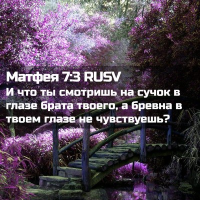 Picture 02 - Матфея 7:3 RUSV - И что ты смотришь на сучок - Bible Verse Picture