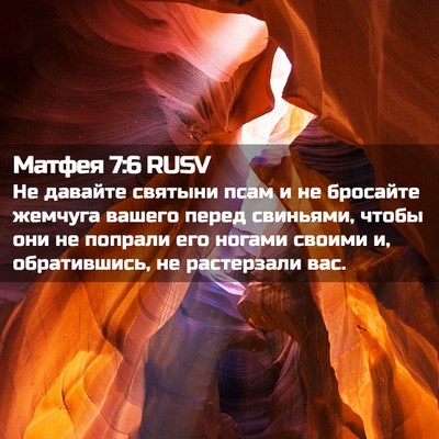 Picture 02 - Матфея 7:6 RUSV - Не давайте святыни псам и - Bible Verse Picture