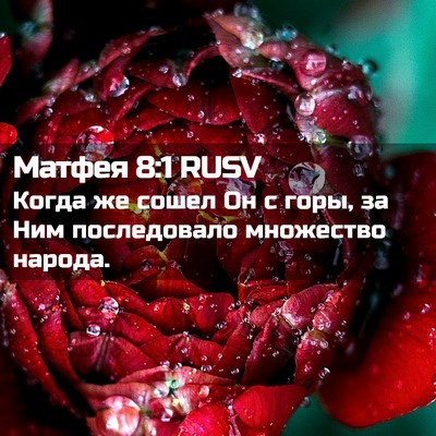Picture 02 - Матфея 8:1 RUSV - Когда же сошел Он с горы, за - Bible Verse Picture