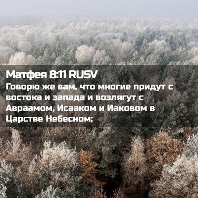 Picture 02 - Матфея 8:11 RUSV - Говорю же вам, что многие - Bible Verse Picture