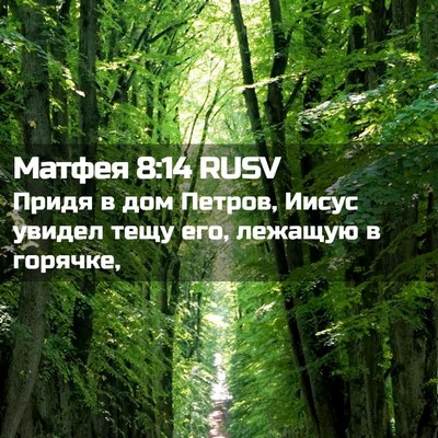 Picture 02 - Матфея 8:14 RUSV - Придя в дом Петров, Иисус - Bible Verse Picture