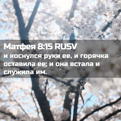Picture 02 - Матфея 8:15 RUSV - и коснулся руки ее, и - Bible Verse Picture