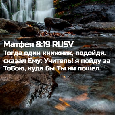Picture 02 - Матфея 8:19 RUSV - Тогда один книжник, - Bible Verse Picture
