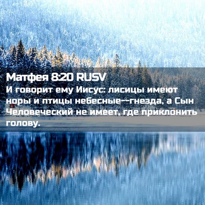 Picture 02 - Матфея 8:20 RUSV - И говорит ему Иисус: лисицы - Bible Verse Picture
