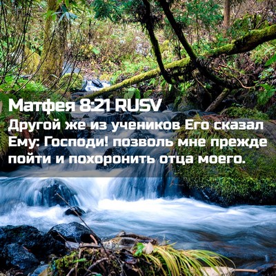 Picture 02 - Матфея 8:21 RUSV - Другой же из учеников Его - Bible Verse Picture