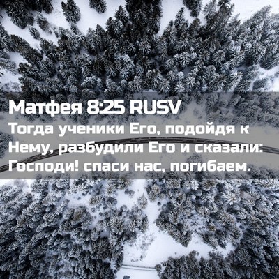 Picture 02 - Матфея 8:25 RUSV - Тогда ученики Его, подойдя - Bible Verse Picture