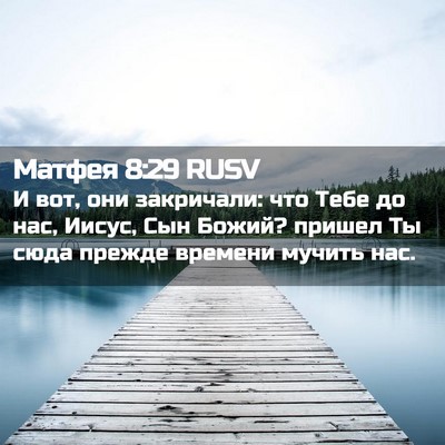 Picture 02 - Матфея 8:29 RUSV - И вот, они закричали: что - Bible Verse Picture