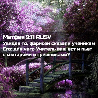 Picture 02 - Матфея 9:11 RUSV - Увидев то, фарисеи сказали - Bible Verse Picture