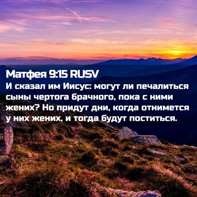 Picture 02 - Матфея 9:15 RUSV - И сказал им Иисус: могут ли - Bible Verse Picture