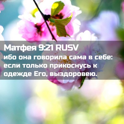 Picture 02 - Матфея 9:21 RUSV - ибо она говорила сама в - Bible Verse Picture