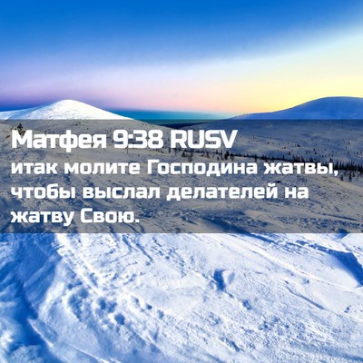 Picture 02 - Матфея 9:38 RUSV - итак молите Господина - Bible Verse Picture