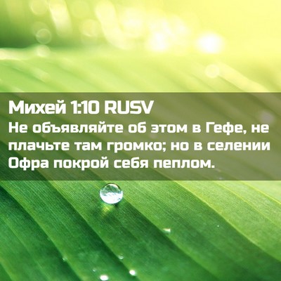 Picture 02 - Михей 1:10 RUSV - Не объявляйте об этом в - Bible Verse Picture