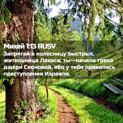 Picture 02 - Михей 1:13 RUSV - Запрягай в колесницу - Bible Verse Picture