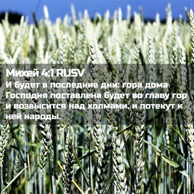 Picture 02 - Михей 4:1 RUSV - И будет в последние дни: - Bible Verse Picture