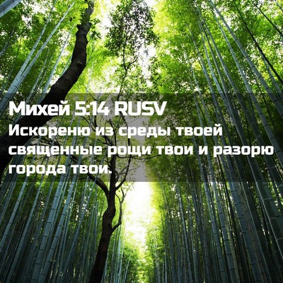 Picture 02 - Михей 5:14 RUSV - Искореню из среды твоей - Bible Verse Picture