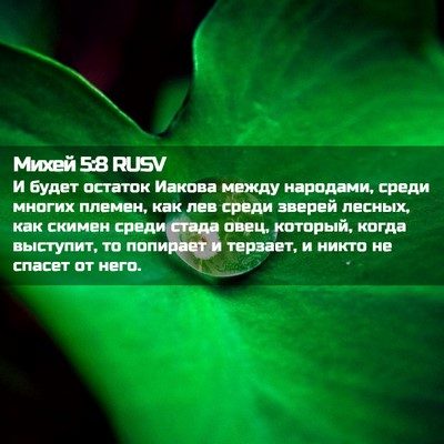 Picture 02 - Михей 5:8 RUSV - И будет остаток Иакова - Bible Verse Picture