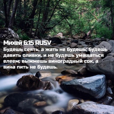 Picture 02 - Михей 6:15 RUSV - Будешь сеять, а жать не - Bible Verse Picture