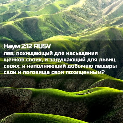 Picture 02 - Наум 2:12 RUSV - лев, похищающий для - Bible Verse Picture