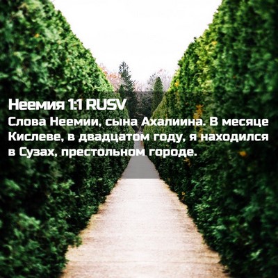 Picture 02 - Неемия 1:1 RUSV - Слова Неемии, сына - Bible Verse Picture