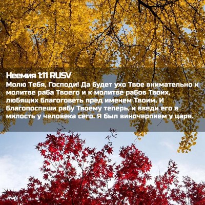 Picture 02 - Неемия 1:11 RUSV - Молю Тебя, Господи! Да - Bible Verse Picture