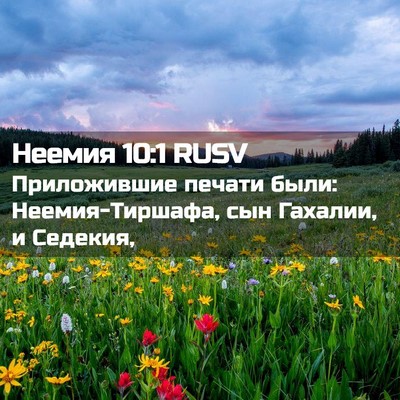 Picture 02 - Неемия 10:1 RUSV - Приложившие печати были: - Bible Verse Picture