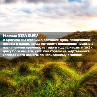Picture 02 - Неемия 10:34 RUSV - И бросили мы жребии о - Bible Verse Picture