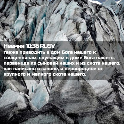 Picture 02 - Неемия 10:36 RUSV - также приводить в дом Бога - Bible Verse Picture