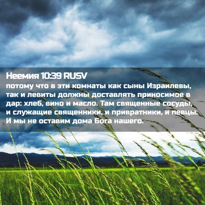 Picture 02 - Неемия 10:39 RUSV - потому что в эти комнаты - Bible Verse Picture
