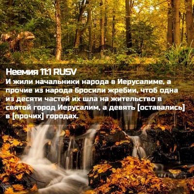 Picture 02 - Неемия 11:1 RUSV - И жили начальники народа в - Bible Verse Picture