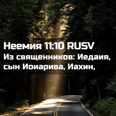 Picture 02 - Неемия 11:10 RUSV - Из священников: Иедаия, сын - Bible Verse Picture