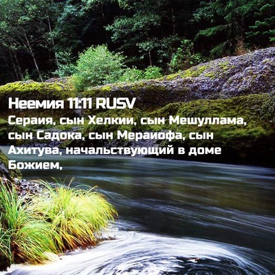 Picture 02 - Неемия 11:11 RUSV - Сераия, сын Хелкии, сын - Bible Verse Picture