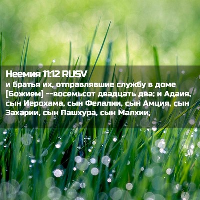 Picture 02 - Неемия 11:12 RUSV - и братья их, отправлявшие - Bible Verse Picture