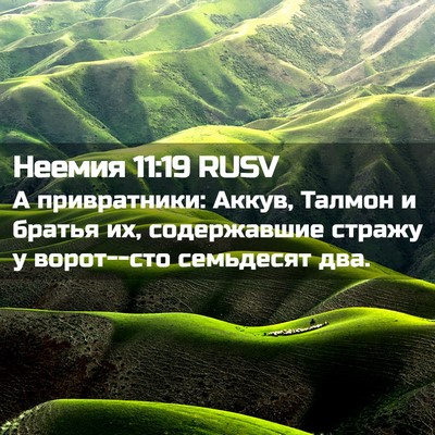 Picture 02 - Неемия 11:19 RUSV - А привратники: Аккув, - Bible Verse Picture