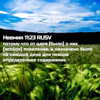 Picture 02 - Неемия 11:23 RUSV - потому что от царя [было] о - Bible Verse Picture
