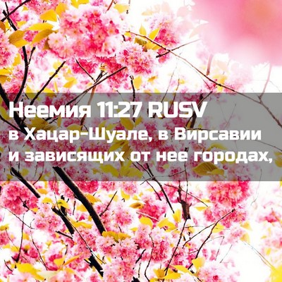 Picture 02 - Неемия 11:27 RUSV - в Хацар-Шуале, в Вирсавии и - Bible Verse Picture