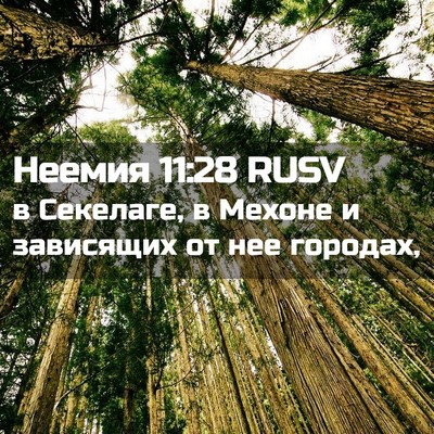 Picture 02 - Неемия 11:28 RUSV - в Секелаге, в Мехоне и - Bible Verse Picture