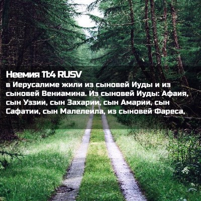 Picture 02 - Неемия 11:4 RUSV - в Иерусалиме жили из - Bible Verse Picture